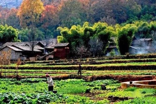 “张同学”说自己初中未毕业,他是如何火起来的?