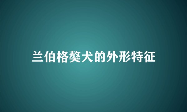 兰伯格獒犬的外形特征