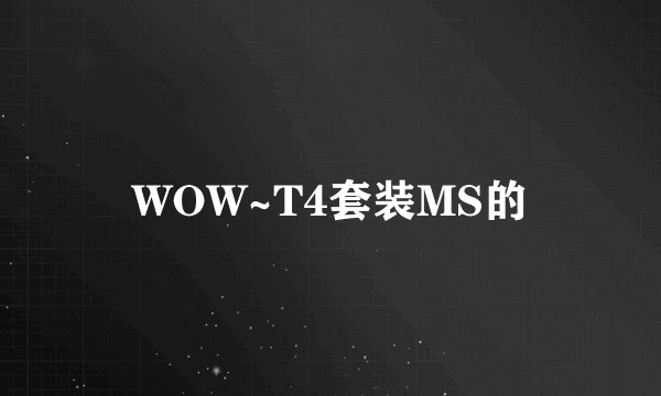 WOW~T4套装MS的