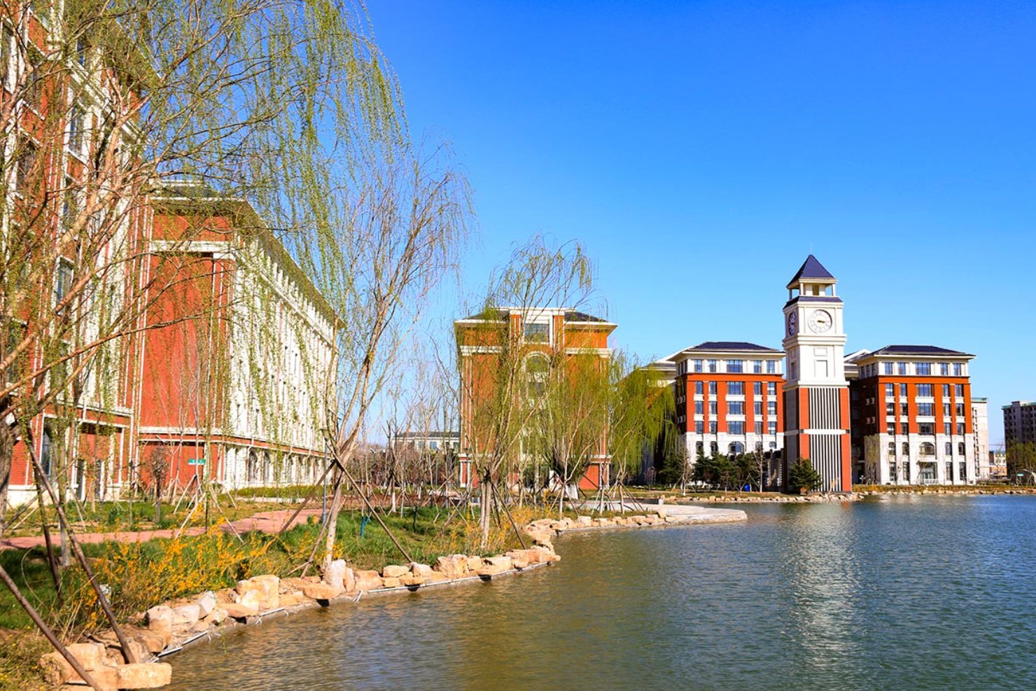 齐鲁医药学院分数线2023