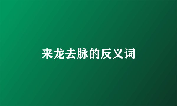 来龙去脉的反义词