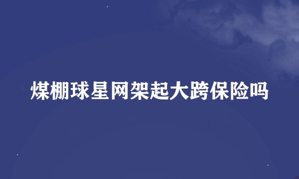 煤棚球星网架起大跨保险吗