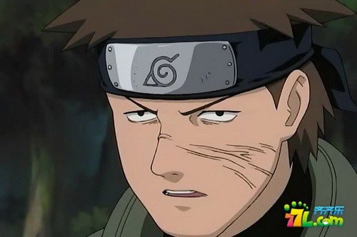 并足雷同的介绍