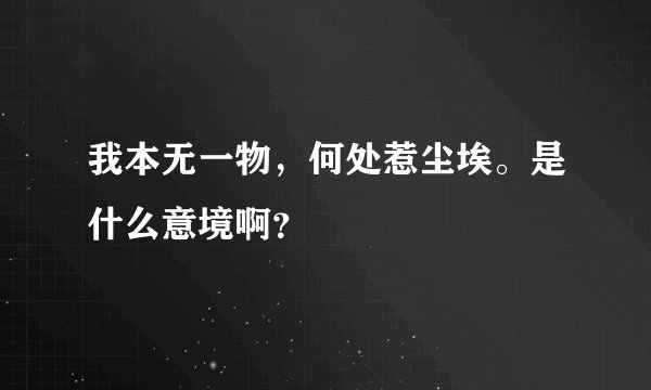 我本无一物，何处惹尘埃。是什么意境啊？