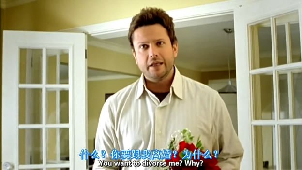 隐形女郎的介绍