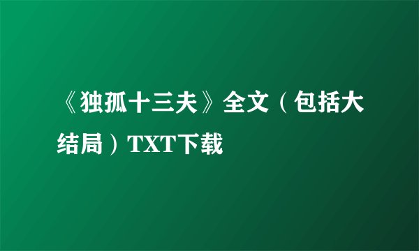 《独孤十三夫》全文（包括大结局）TXT下载