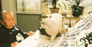 冰心繁星全文是什么