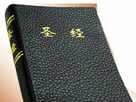 堕落的拼音及意思