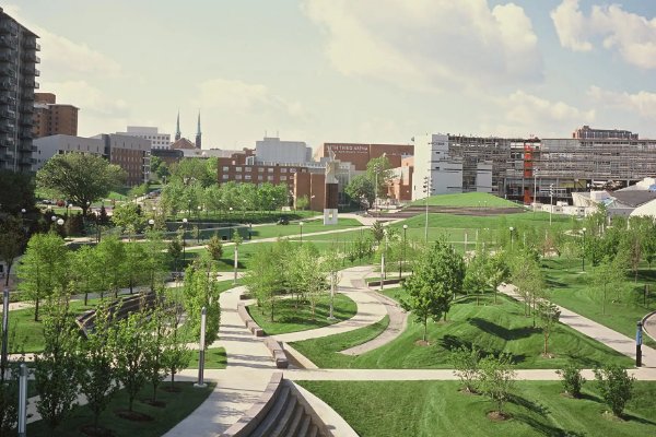 辛辛那提大学有多厉害？