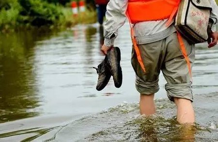 趟浑水是什么意思？