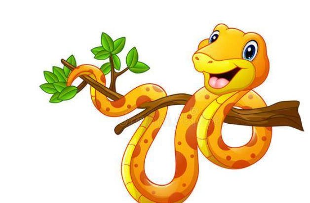 一三全四中本期指的是蛇吗