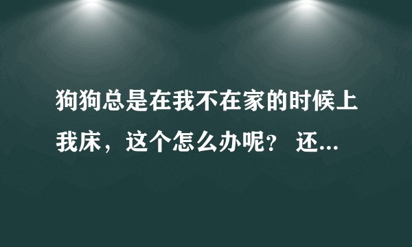 狗狗总是在我不在家的时候上我床，这个怎么办呢？ 还有这是为什么呢？