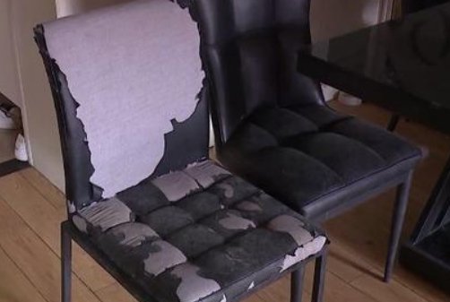 山东青岛一女子强行入住酒店又要全额退款，酒店对于此事是什么态度？