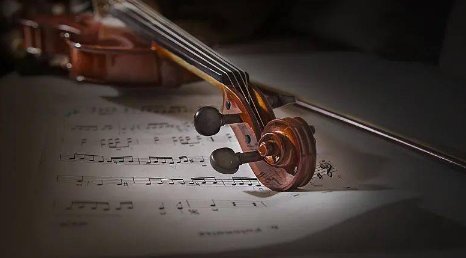 小提琴家陈顺平就医无门跳楼身亡,他为何用如此极端的方式结束自己的生命?