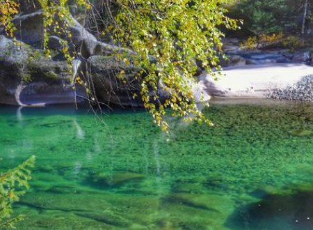 河水碧绿碧绿的像什么怎么补充？