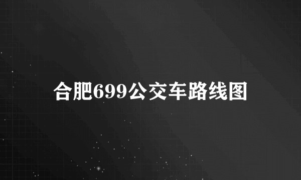 合肥699公交车路线图