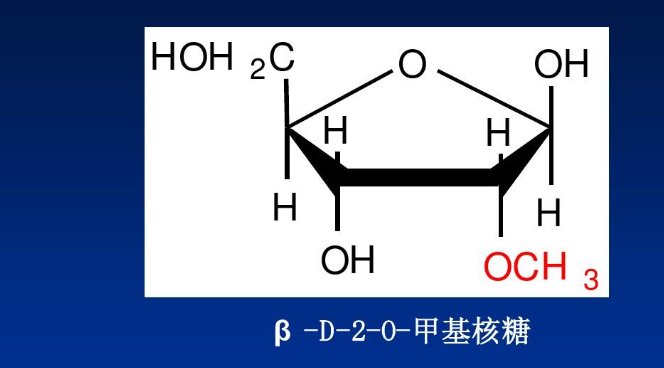 核糖结构式