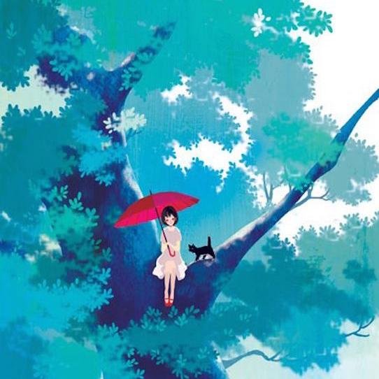 林白法案的法案内容