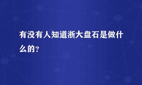 有没有人知道浙大盘石是做什么的？