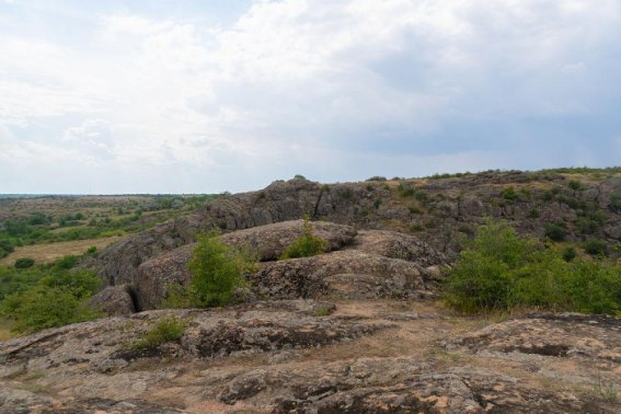 关于大自然的指南针有哪些