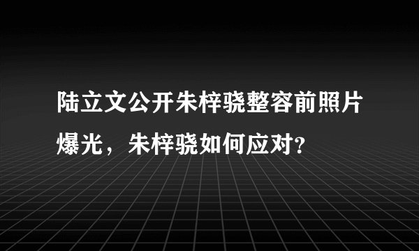 陆立文公开朱梓骁整容前照片爆光，朱梓骁如何应对？