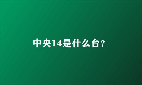 中央14是什么台？