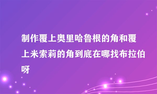 制作覆上奥里哈鲁根的角和覆上米索莉的角到底在哪找布拉伯呀