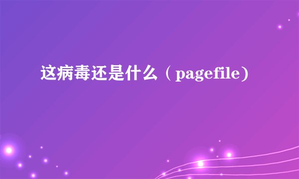 这病毒还是什么（pagefile)