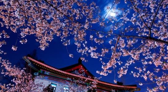 身无彩凤双飞翼，心有灵犀一点通。全诗译文