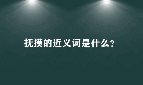 抚摸的近义词是什么？