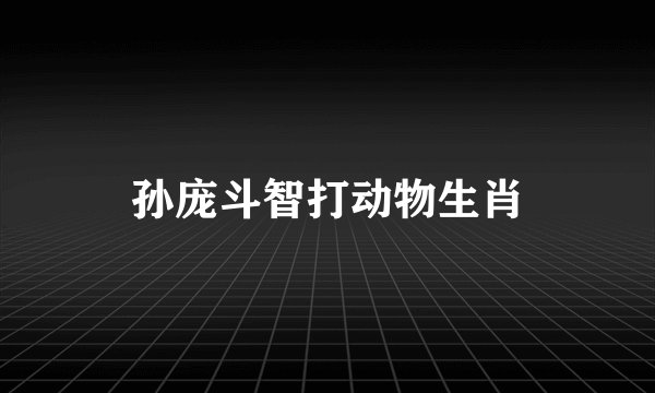 孙庞斗智打动物生肖