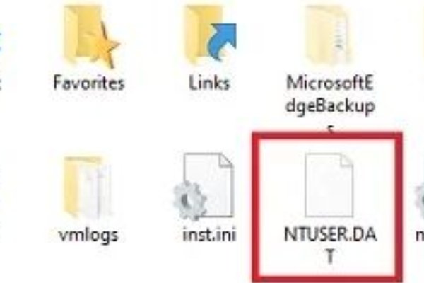 ntuser. dat文件可以删除吗？