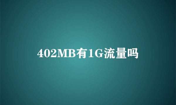 402MB有1G流量吗
