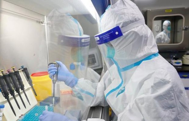 沈阳阳性圣女果已致11人感染，这批阳性圣女果到底从而来？