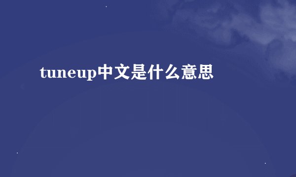 tuneup中文是什么意思
