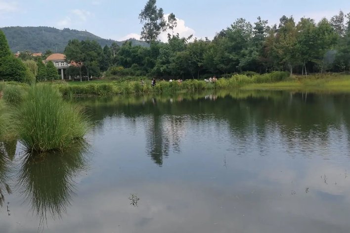 张钧甯怎么读mi