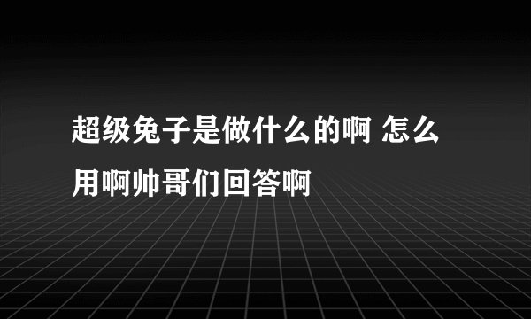 超级兔子是做什么的啊 怎么用啊帅哥们回答啊