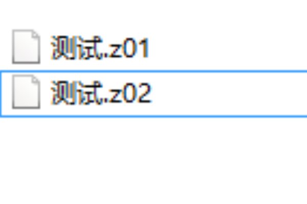 Z01是什么格式的？