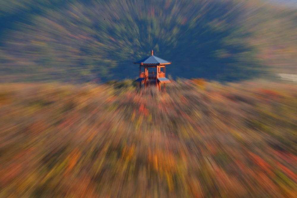 zoom in什么意思？