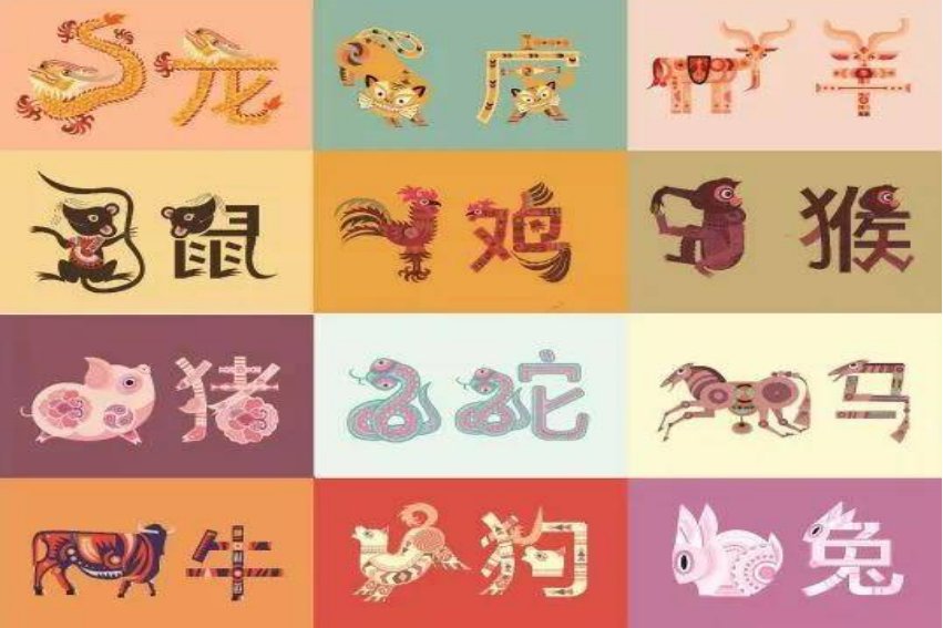 窝儿里横是什么生肖