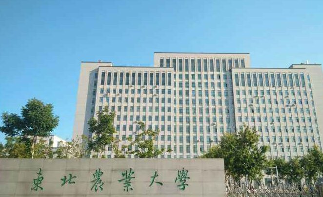 东北农业大学邮政编码