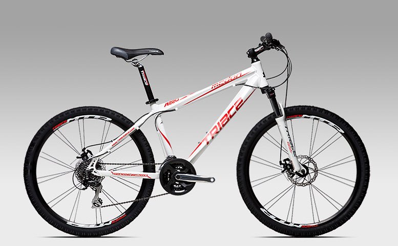 请问骓驰的a220骑起来如何啊，和公爵600比起来如何。最近正在犹豫啊，