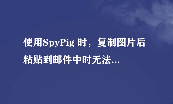 使用SpyPig 时，复制图片后粘贴到邮件中时无法粘贴，是怎么回事？