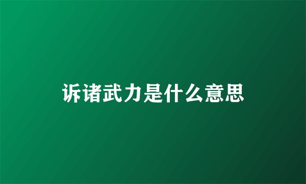 诉诸武力是什么意思