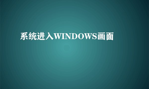 系统进入WINDOWS画面