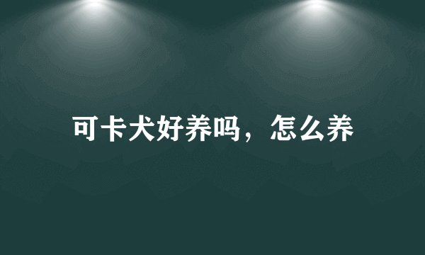 可卡犬好养吗，怎么养