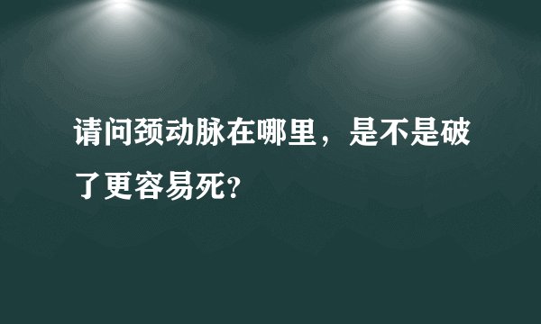 请问颈动脉在哪里，是不是破了更容易死？