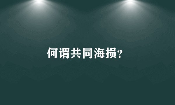 何谓共同海损？