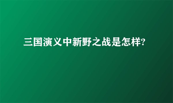 三国演义中新野之战是怎样?