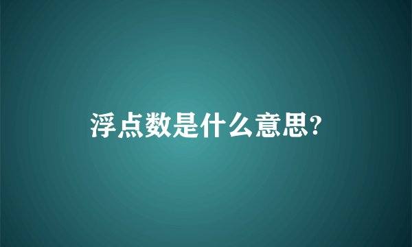 浮点数是什么意思?